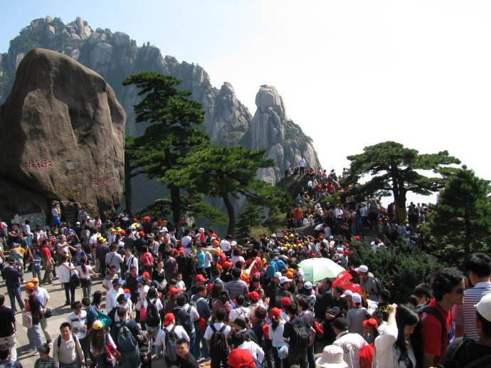 timg (3).jpg timg (3).jpg