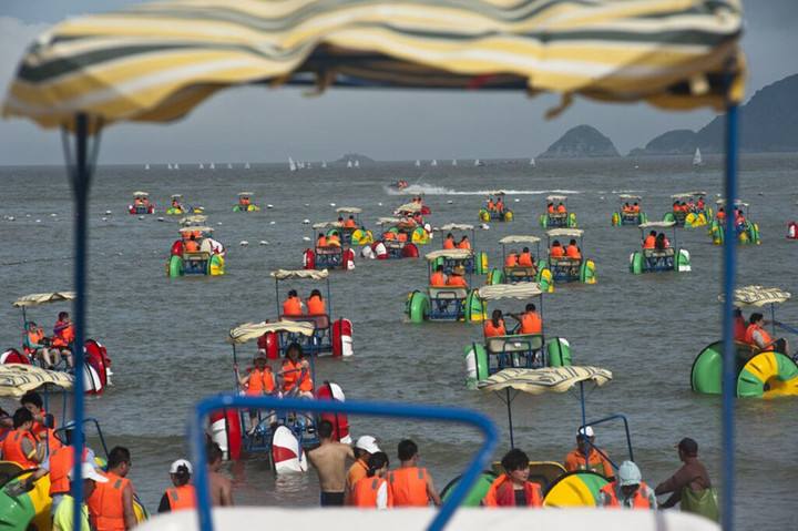 timg (4).jpg timg (4).jpg